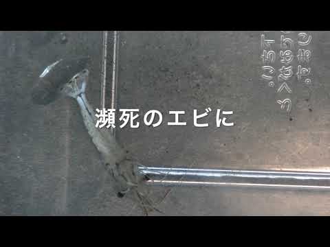 7月7日正規代理店より購入　新品未開封　メビウスウォーター正規品2個 7月25日正規代理店より購入 新品未開封 メビウスウォーター正規